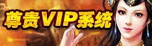 VIP系统