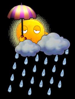 太阳也疯狂,全新装饰搞笑上线