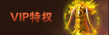 VIP特权
